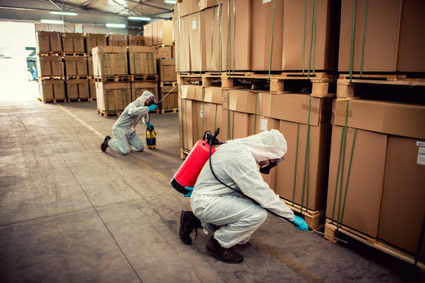 Best Pest Removal Services  in , ND