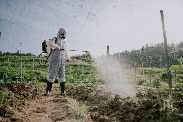Best Pest Prevention Services  in , ND