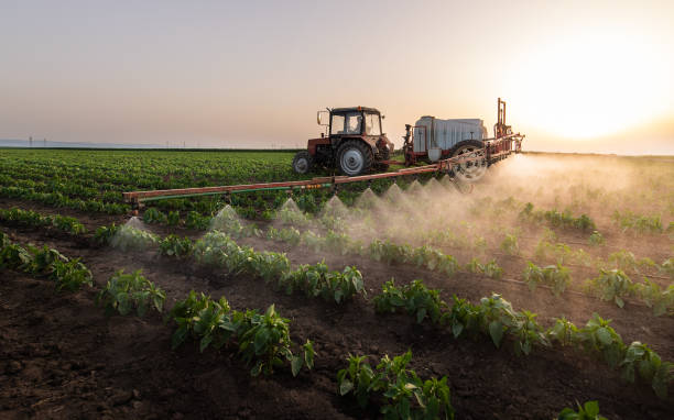 Best Insect Control  in , ND