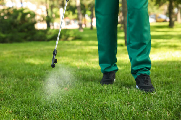 Best Affordable Pest Control Services  in , ND