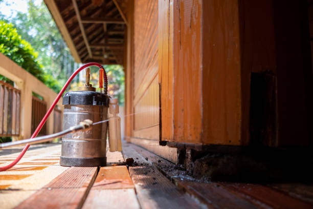 Best Cockroach Control Services  in , ND