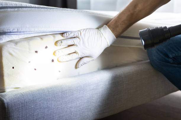 Best Residential Pest Control  in , ND