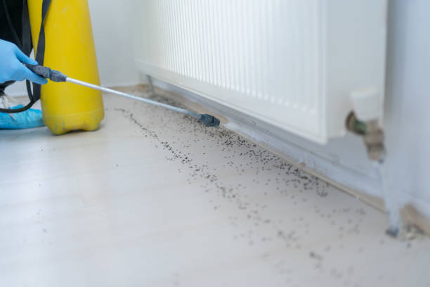 Best Pest Prevention Services  in , ND