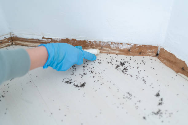 , ND Pest Control Pros